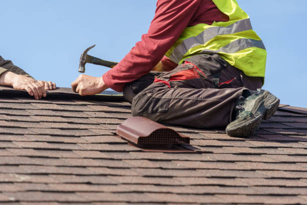 Best Metal Roofing Contractor  in Fabens, TX
