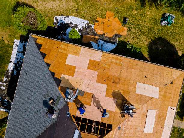 Best Commercial Roofing Services  in Fabens, TX